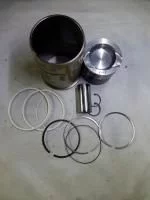 купить Гильза с ориг. поршнем, пальцем, поршневыми и упорными кольцами ( 10 группа) Евро-4 / ПАО КамАЗ